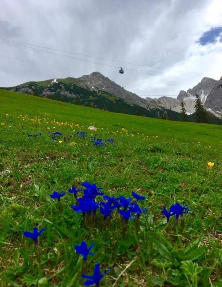 Relax Seefeld Apartman Seefeld w Tirolu Zewnętrze zdjęcie
